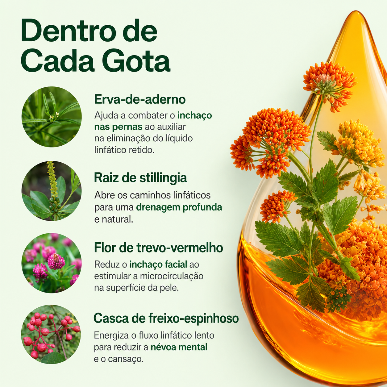 (Reviva® Gotas para Drenagem Linfática)